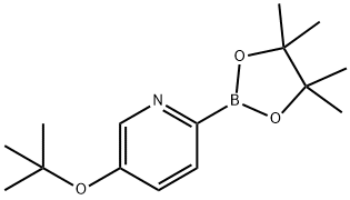 5-(tert-Butoxy)pyridine-2-boronic acid pinacol ester Struktur