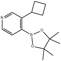 3-(Cyclobutyl)pyridine-4-boronic acid pinacol ester Struktur