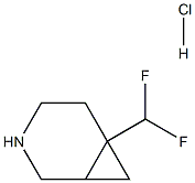 6-(difluoromethyl)-3-azabicyclo[4.1.0]heptane hydrochloride Struktur