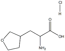 2-amino-3-(oxolan-3-yl)propanoic acid hydrochloride Struktur