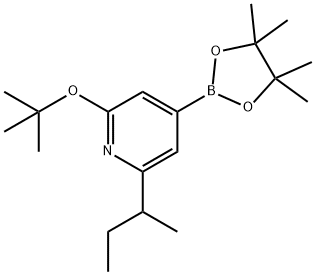 2-(tert-butoxy)-6-(sec-butyl)-4-(4,4,5,5-tetramethyl-1,3,2-dioxaborolan-2-yl)pyridine Struktur