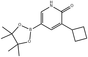 3-cyclobutyl-5-(4,4,5,5-tetramethyl-1,3,2-dioxaborolan-2-yl)pyridin-2(1H)-one Struktur