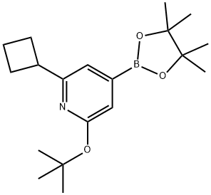 2-(tert-butoxy)-6-cyclobutyl-4-(4,4,5,5-tetramethyl-1,3,2-dioxaborolan-2-yl)pyridine Struktur