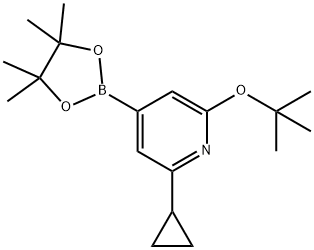 2-(tert-butoxy)-6-cyclopropyl-4-(4,4,5,5-tetramethyl-1,3,2-dioxaborolan-2-yl)pyridine Struktur