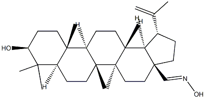 Betulinic aldehyde oxime, 97%, Semi-Synthetic Struktur