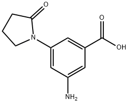 3-amino-5-(2-oxopyrrolidin-1-yl)benzoic acid Struktur