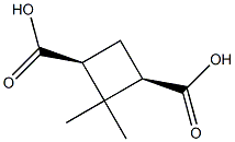 cis-2,2-dimethyl-1,3-cyclobutanedicarboxylic acid Struktur