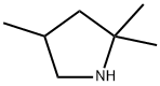 2,2,4-trimethylpyrrolidine Struktur