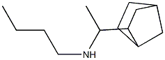 (1-{bicyclo[2.2.1]heptan-2-yl}ethyl)(butyl)amine Struktur