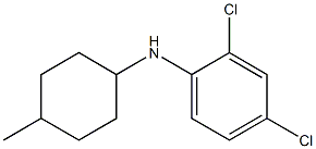 2,4-dichloro-N-(4-methylcyclohexyl)aniline Struktur