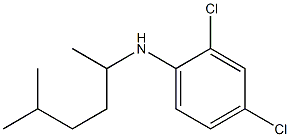 2,4-dichloro-N-(5-methylhexan-2-yl)aniline Struktur