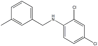 2,4-dichloro-N-[(3-methylphenyl)methyl]aniline Struktur