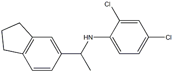 2,4-dichloro-N-[1-(2,3-dihydro-1H-inden-5-yl)ethyl]aniline Struktur