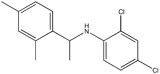 2,4-dichloro-N-[1-(2,4-dimethylphenyl)ethyl]aniline Struktur