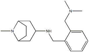 N-({2-[(dimethylamino)methyl]phenyl}methyl)-8-methyl-8-azabicyclo[3.2.1]octan-3-amine Struktur