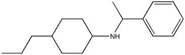 N-(1-phenylethyl)-4-propylcyclohexan-1-amine Struktur