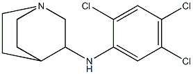 N-(2,4,5-trichlorophenyl)-1-azabicyclo[2.2.2]octan-3-amine Struktur