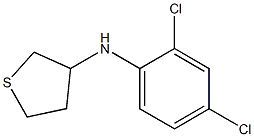 N-(2,4-dichlorophenyl)thiolan-3-amine Struktur