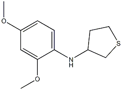 N-(2,4-dimethoxyphenyl)thiolan-3-amine Struktur