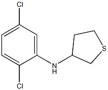 N-(2,5-dichlorophenyl)thiolan-3-amine Struktur