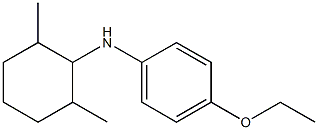 N-(2,6-dimethylcyclohexyl)-4-ethoxyaniline Struktur