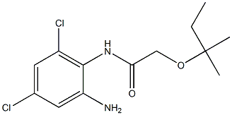 N-(2-amino-4,6-dichlorophenyl)-2-[(2-methylbutan-2-yl)oxy]acetamide Struktur