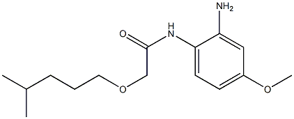 N-(2-amino-4-methoxyphenyl)-2-[(4-methylpentyl)oxy]acetamide Struktur