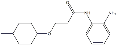 N-(2-aminophenyl)-3-[(4-methylcyclohexyl)oxy]propanamide Struktur