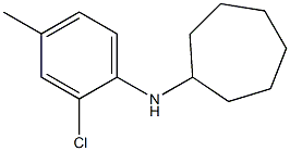 N-(2-chloro-4-methylphenyl)cycloheptanamine Struktur