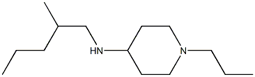 N-(2-methylpentyl)-1-propylpiperidin-4-amine Struktur