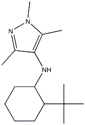 N-(2-tert-butylcyclohexyl)-1,3,5-trimethyl-1H-pyrazol-4-amine Struktur