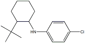 N-(2-tert-butylcyclohexyl)-4-chloroaniline Struktur