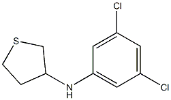 N-(3,5-dichlorophenyl)thiolan-3-amine Struktur