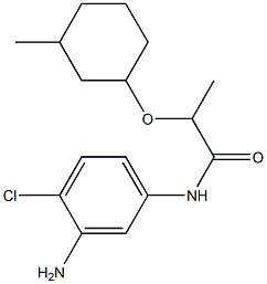 N-(3-amino-4-chlorophenyl)-2-[(3-methylcyclohexyl)oxy]propanamide Struktur