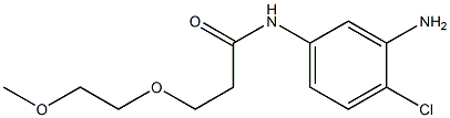 N-(3-amino-4-chlorophenyl)-3-(2-methoxyethoxy)propanamide Struktur