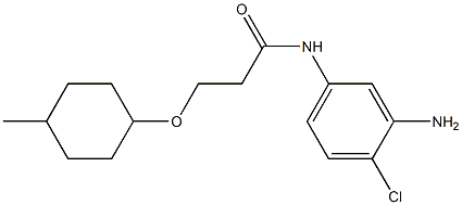 N-(3-amino-4-chlorophenyl)-3-[(4-methylcyclohexyl)oxy]propanamide Struktur