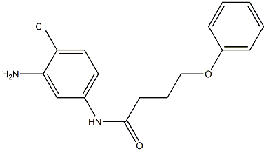 N-(3-amino-4-chlorophenyl)-4-phenoxybutanamide Struktur