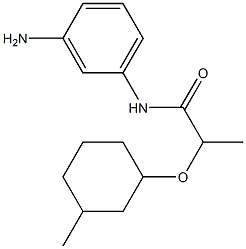 N-(3-aminophenyl)-2-[(3-methylcyclohexyl)oxy]propanamide Struktur