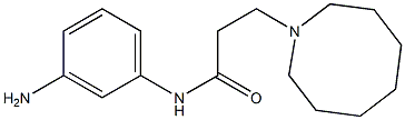 N-(3-aminophenyl)-3-(azocan-1-yl)propanamide Struktur