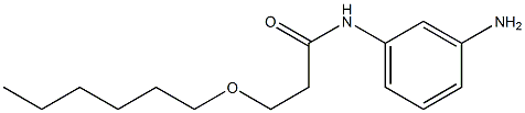 N-(3-aminophenyl)-3-(hexyloxy)propanamide Struktur