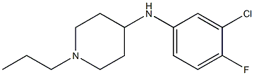 N-(3-chloro-4-fluorophenyl)-1-propylpiperidin-4-amine Struktur