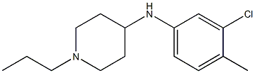 N-(3-chloro-4-methylphenyl)-1-propylpiperidin-4-amine Struktur