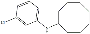 N-(3-chlorophenyl)cyclooctanamine Struktur