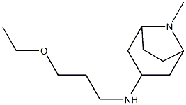 N-(3-ethoxypropyl)-8-methyl-8-azabicyclo[3.2.1]octan-3-amine Struktur