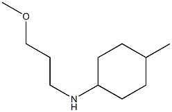 N-(3-methoxypropyl)-4-methylcyclohexan-1-amine Struktur