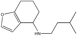 N-(3-methylbutyl)-4,5,6,7-tetrahydro-1-benzofuran-4-amine Struktur