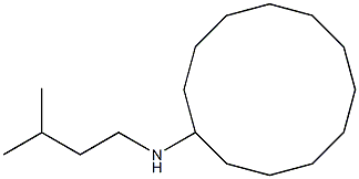 N-(3-methylbutyl)cyclododecanamine Struktur