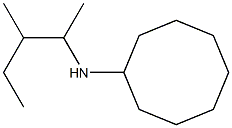 N-(3-methylpentan-2-yl)cyclooctanamine Struktur