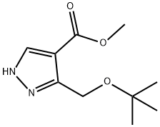 methyl 3-(tert-butoxymethyl)-1H-pyrazole-4-carboxylate Struktur