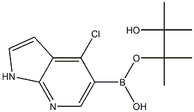 4-CHLORO-1H-PYRROLO[2,3-B]PYRIDINE-5-BORONIC ACID PINACOL ESTER Struktur